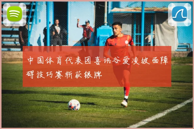 中国体育代表团喜讯谷爱凌坡面障碍技巧赛斩获银牌