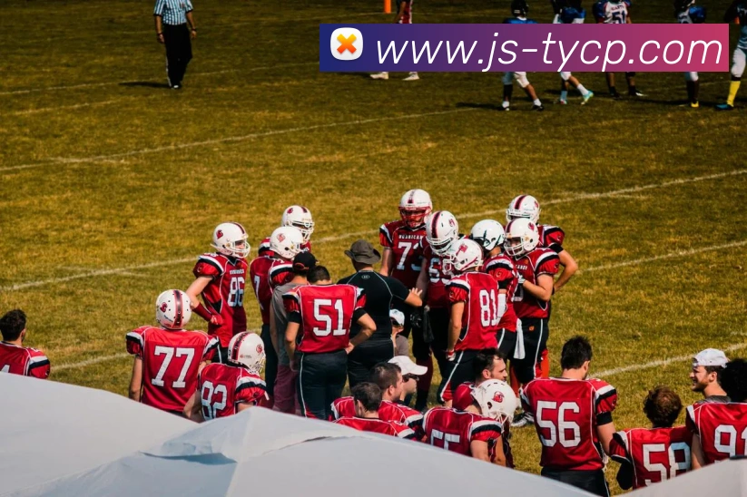 App Interface Preview